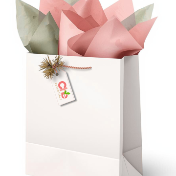 Essentials for the Holidays Gift Bag 2