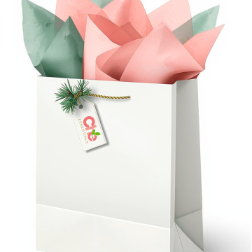 Essentials for the Holidays Gift Bag 1